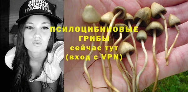 дурь Бугульма