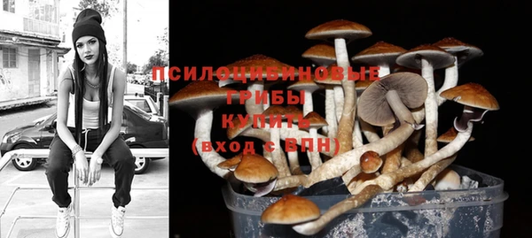 дурь Бугульма