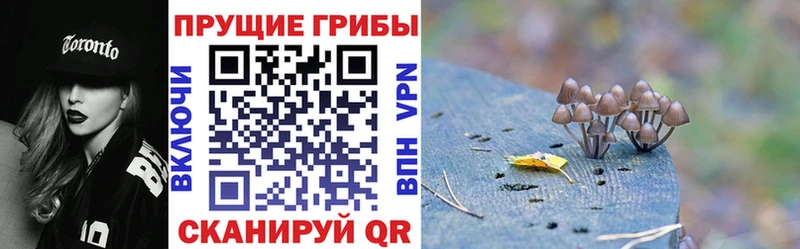 мега маркетплейс  Якутск  Галлюциногенные грибы MAGIC MUSHROOMS 